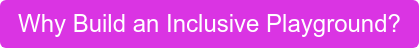 Why Build an Inclusive Playground?