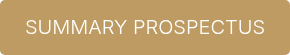 SUMMARY PROSPECTUS