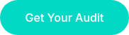 Get Your Audit