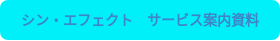 シン・エフェクト　サービス案内資料