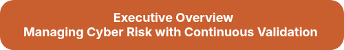 <p><strong>&nbsp;Executive Overview<br>Managing Cyber Risk with Continuous Validation&nbsp;<br></strong></p>