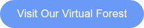Visit Our Virtual Forest