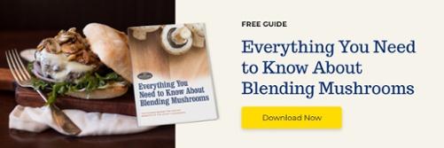 Everything You Need to Know About Blending Mushrooms