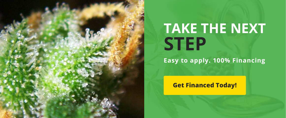 New Call-to-action
