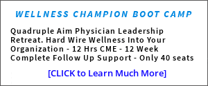 Wellness Champion Bootcamp