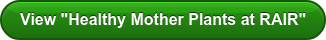 View "Healthy Mother Plants at RAIR"