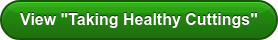 View "Taking Healthy Cuttings"
