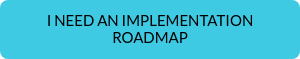 I NEED AN IMPLEMENTATION ROADMAP