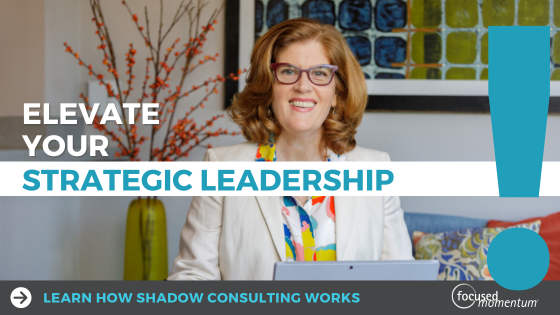 CTA- Shadow Consulting elevate