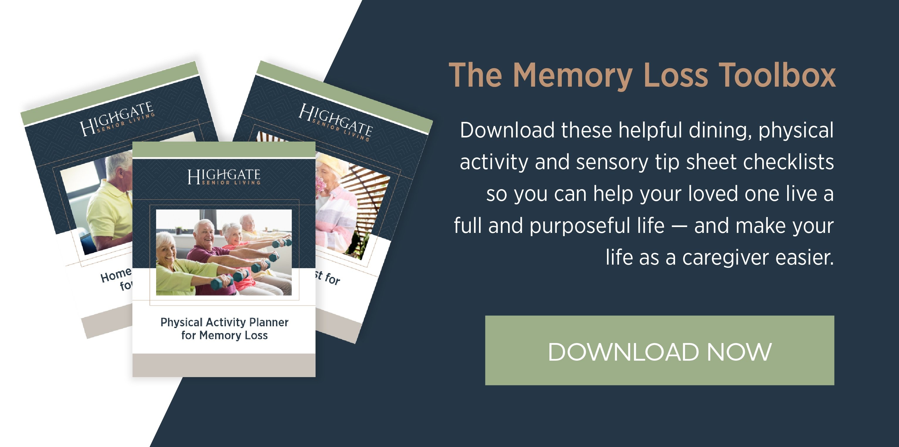 Memory Loss Toolbox