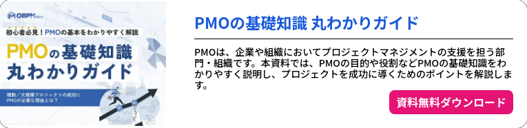 pmo_guide