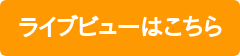 ライブビューはこちら