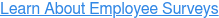 Learn About Employee Surveys