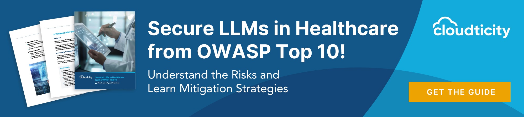 secure llms healthcare owasp top 10