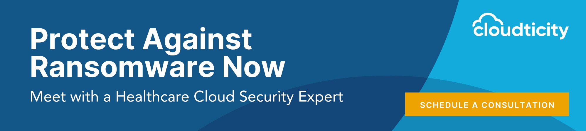 ransomware consultation blog banner