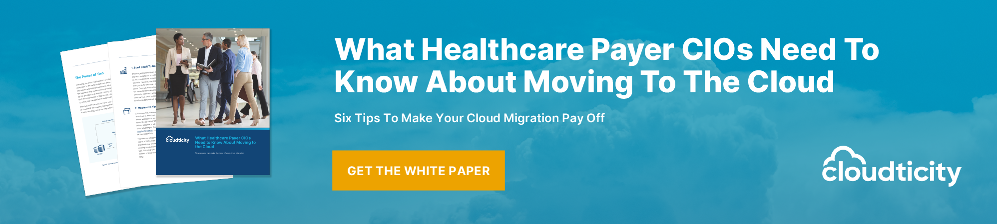 payer-cios-white-paper