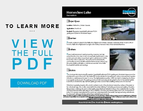 HORSESHOE LAKE BOAT DOCK