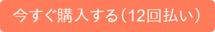 今すぐ購入する(12回払い)