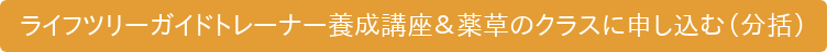 ライフツリーガイドトレーナー養成講座&薬草のクラスに申し込む(分括)