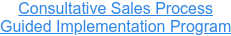 Consultative Sales Process  Guided Implementation Program