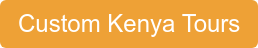 Custom Kenya Tours
