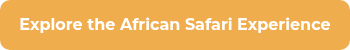 Explore the African Safari Experience