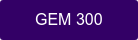 GEM 300