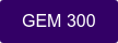 GEM 300