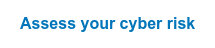 Assess your cyber risk