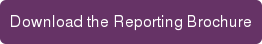 Download the Reporting Brochure