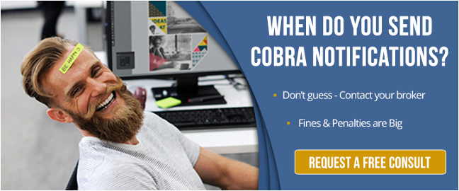 Cobra Insurance Rules