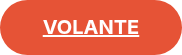 <p style="font-size: 20px;"><span style="text-decoration: underline;"><strong>VOLANTE</strong></span></p>