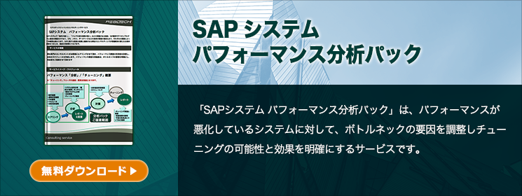 SAPシステム パフォーマンス分析パック