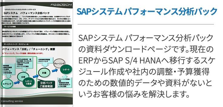 SAPシステムパフォーマンス分析パック