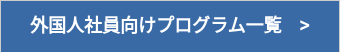 外国人社員向けプログラム一覧　>
