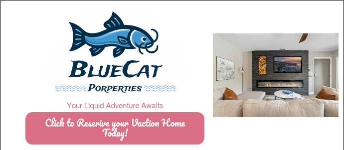 BlueCat Logo Final Rectangle-1