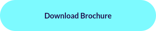 <h2>Download Brochure</h2>