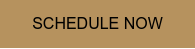 SCHEDULE NOW