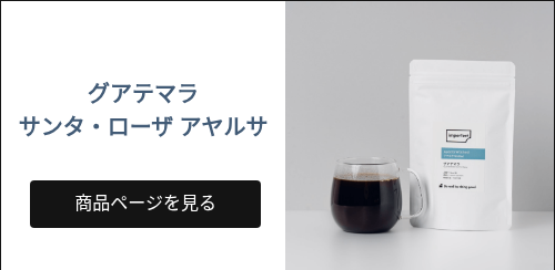 グアテマラ サンタ・ローザ アヤルサ