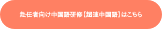 赴任者向け中国語研修【超速中国語】はこちら