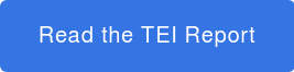 Read the TEI Report
