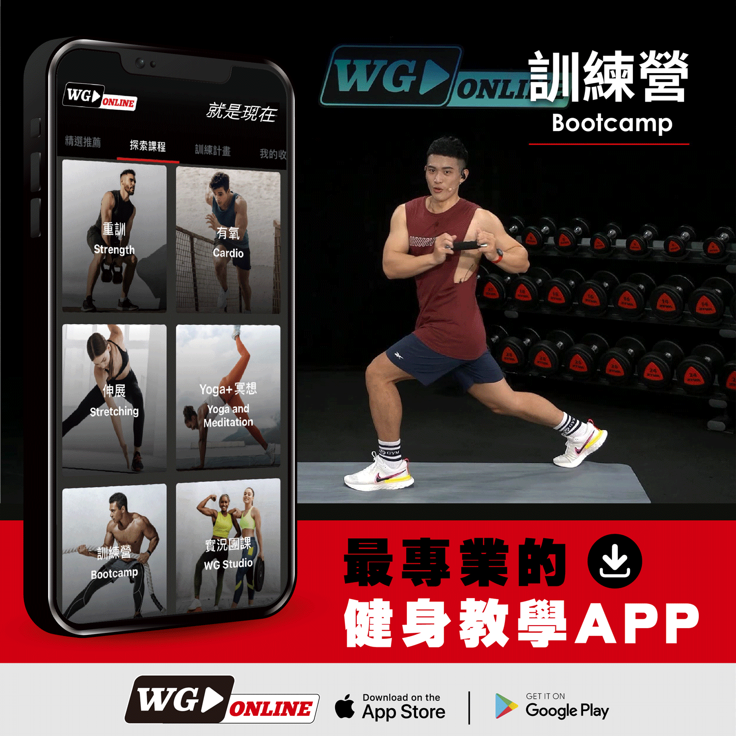 WG ONLINE