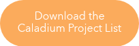 Download the Caladium Project List