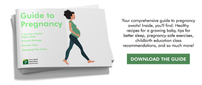 Download the Guide to Pregnancy