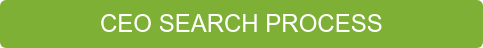 CEO SEARCH PROCESS