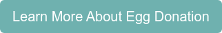 Learn More About Egg Donation