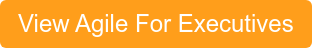 Download Agile For Executives
