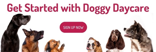 get started with doggy daycare at central pet tucson. Sign up now