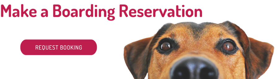 Request a dog boarding reservation at central pet az