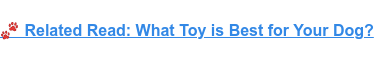  Related Read: What Toy is Best for Your Dog?